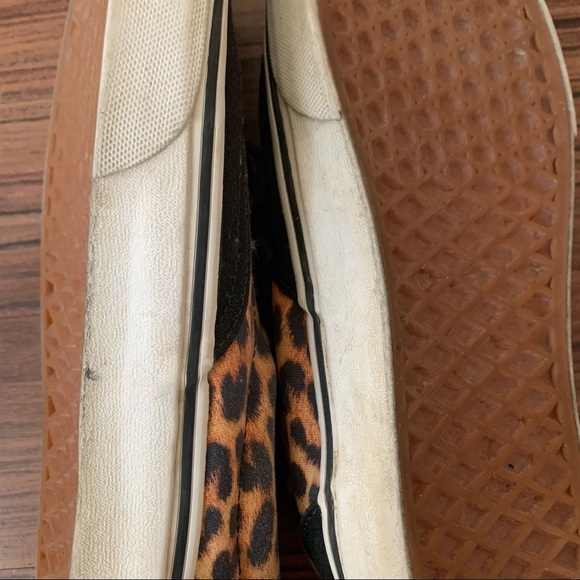 Cheetah Vans - Picture 7 of 9